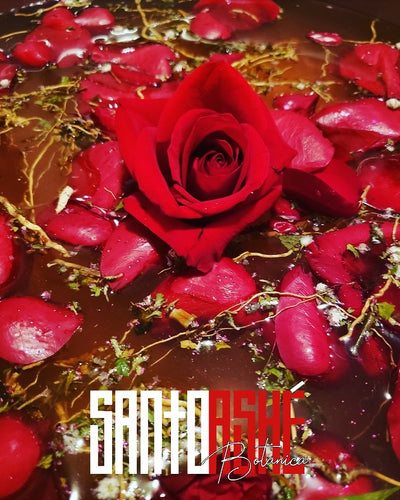 Love over Indifference Bath - Santo Ashe Botanica